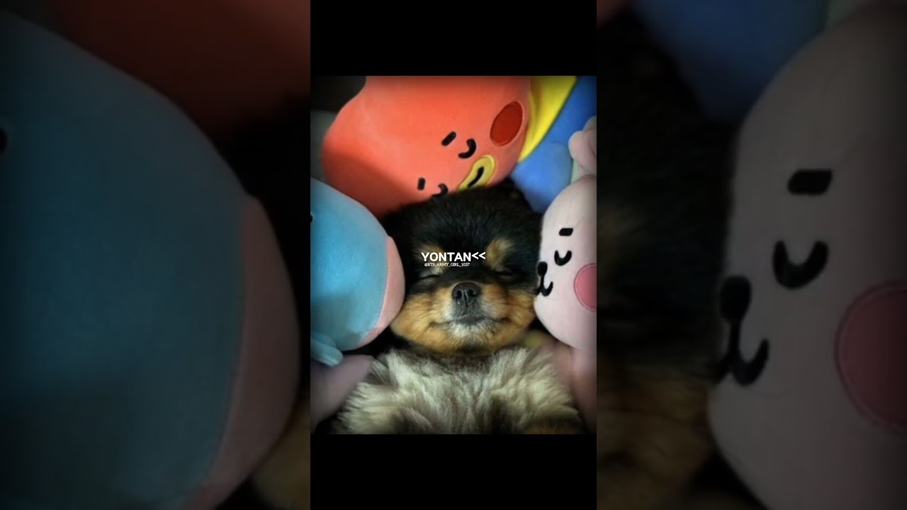 Happy Birthday Dear Tan Baby #yontan#birthday#comingsoon#shorts#wemissyou#tanbaby#shortviral