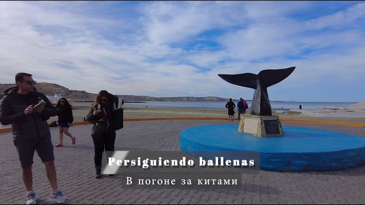 Persiguiendo ballenas. В погоне за китами.