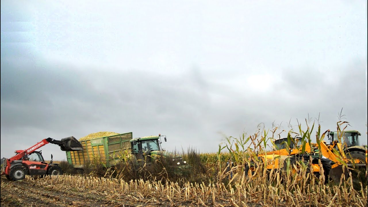 Wielkie koszenie QQ na 2 sieczkarnie z wpadką - Claas Jaguar 940& 880 i 8 zestawów odwożących