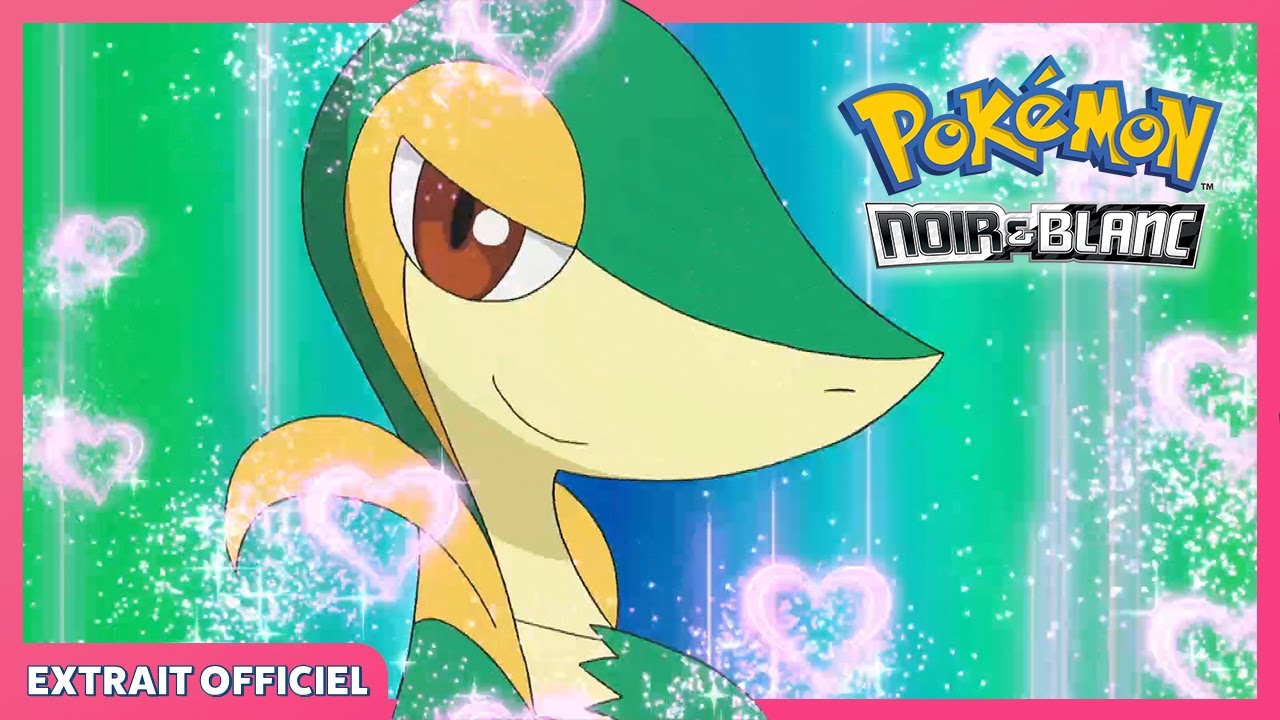 Vipélierre utilise Attraction ! 💗 | Pokémon : Noir & Blanc | Extrait officiel