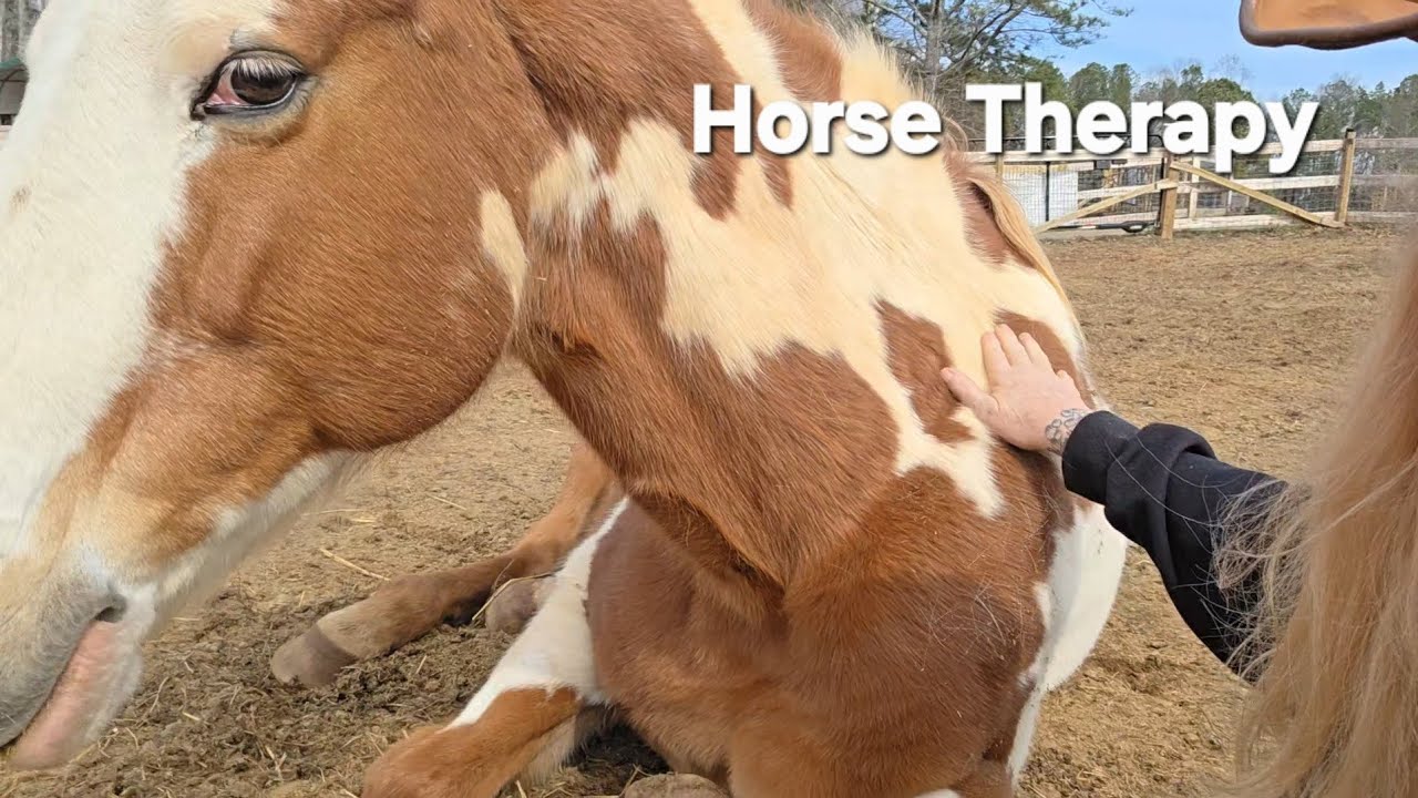 Mama had a rough Tuesday. Sometimes just sitting w your horse helps. 