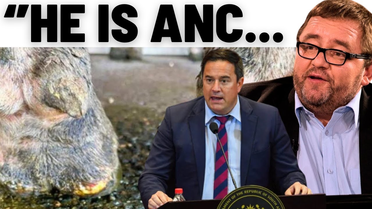 AfriForum CEO Blasts Steenhuisen Amid Shock Withdrawal