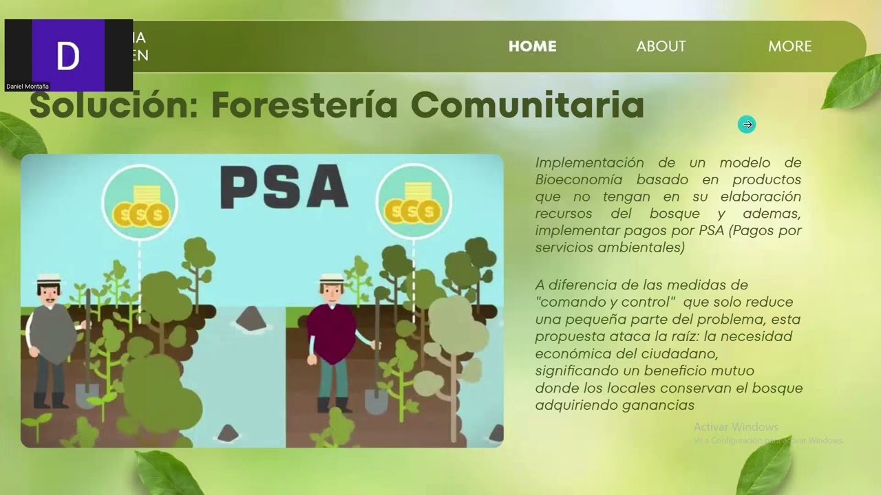 Deforestación amazonas