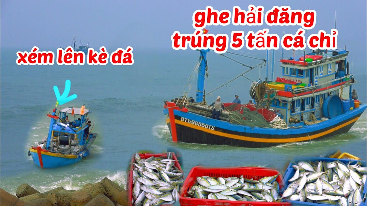 Ghe Đi Lưới Xém Chút lên kè Đá...Ghe Lưới Rút Hải Đăng Đi 1 Đêm 5 tấn Cá!!!