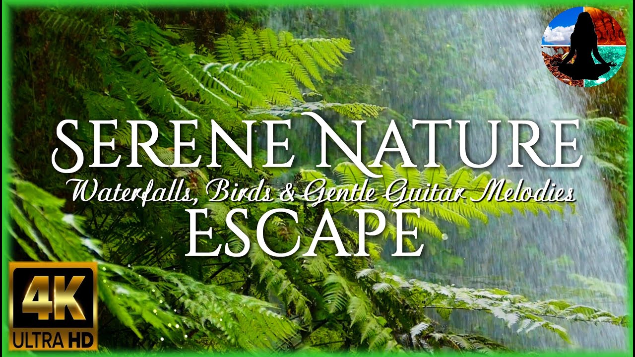 Serene Nature Escape Waterfalls, Birds & Gentle Guitar Melodies