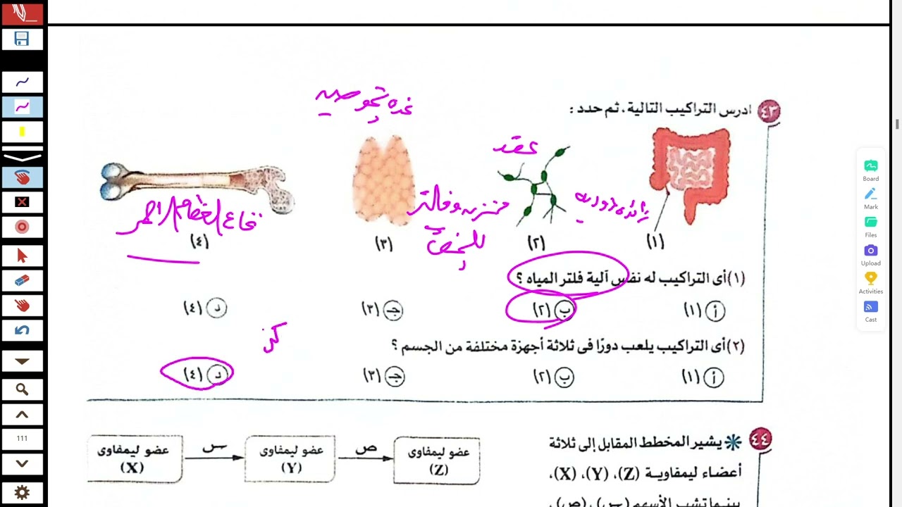 حل على المناعة فى الانسان من كتاب الامتحان