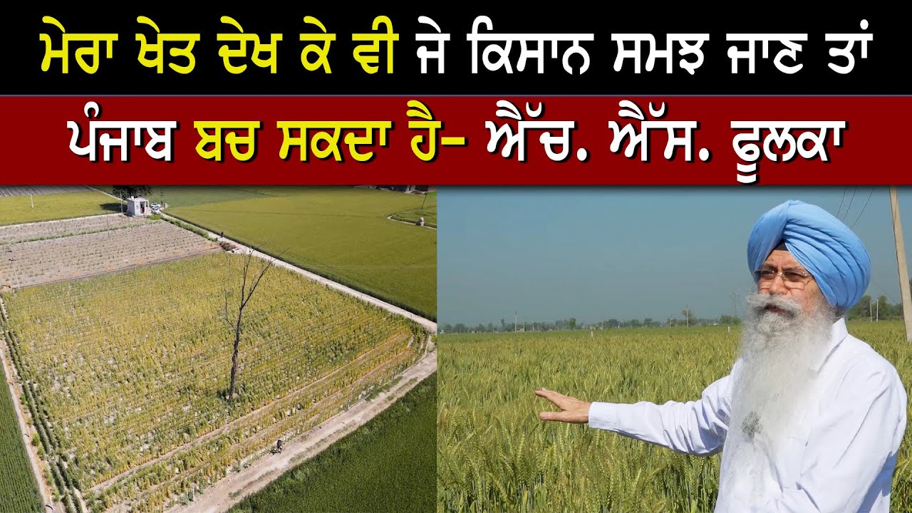 ਜੇ ਕਿਸੇ ਨੇ ਵਹਿਮ ਕੱਢਣਾ ਹੈ ਤਾਂ ਮੇਰਾ ਖੇਤ ਦੇਖ ਸਕਦਾ ਹੈ-ਫੂਲਕਾ