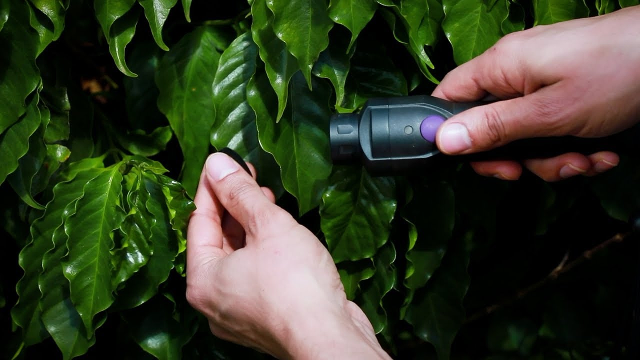 NutroScan: A new tool for instant, in-field, plant diagnosis