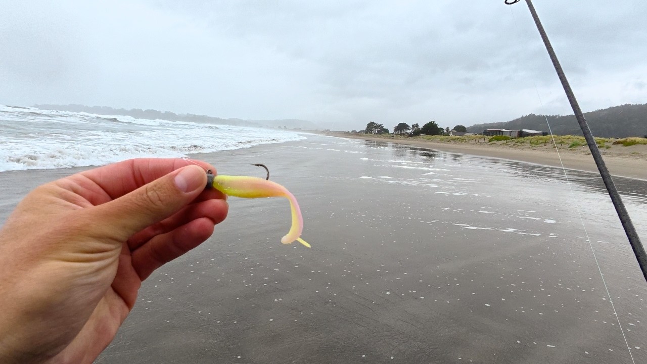 Big Lures for Big Fish - 2 Days of California Surf Perch Fishing