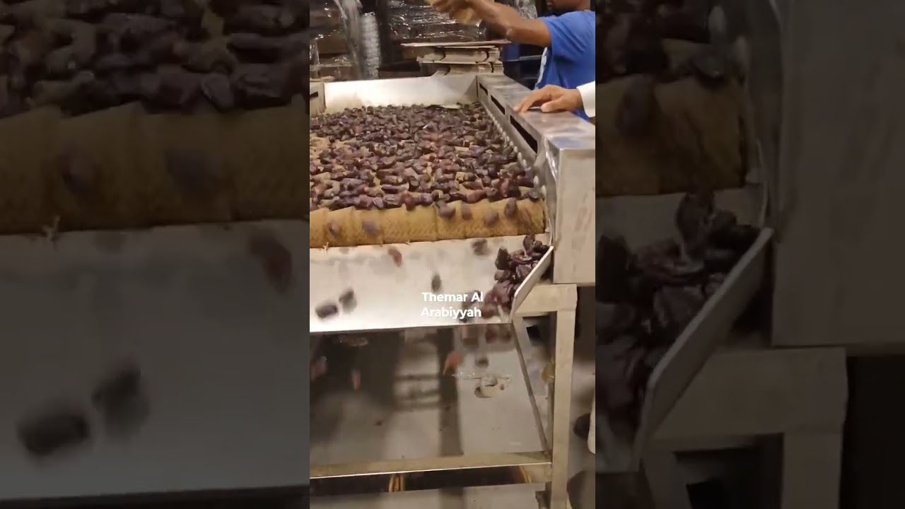 Dates polishing or cleaning process عملية تلميع أو تنظيف التمور