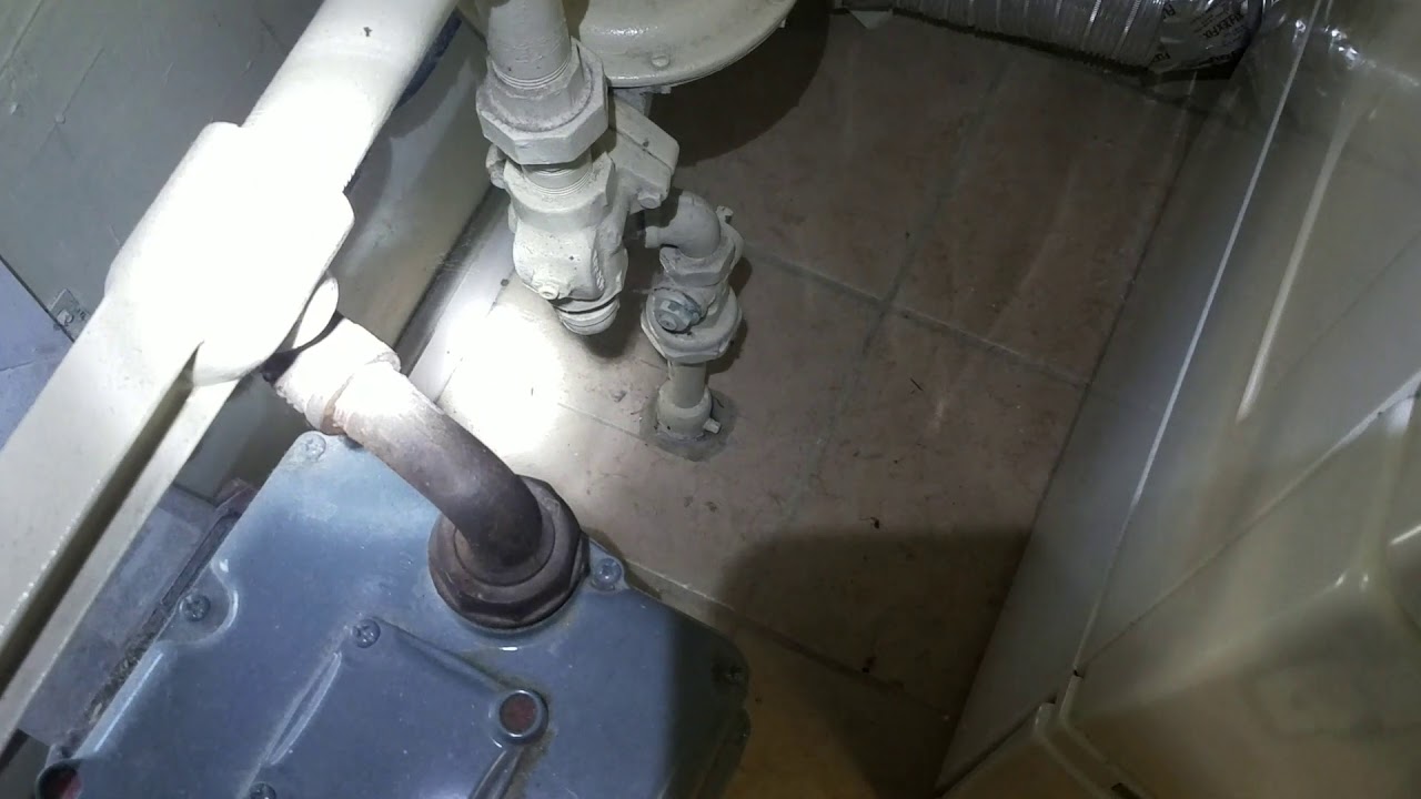 Mice and Rat Infestation and Control NJ 732 698 8387