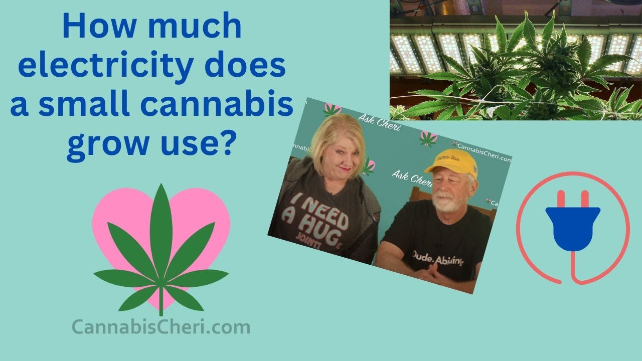 How much electricity does a small cannabis grow use?