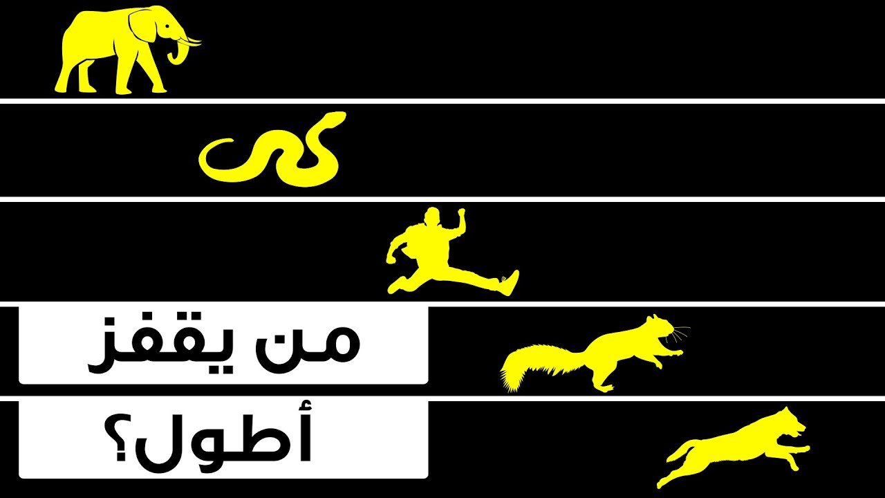 العناكب تتفوق عليك بالقدرة على القفز
