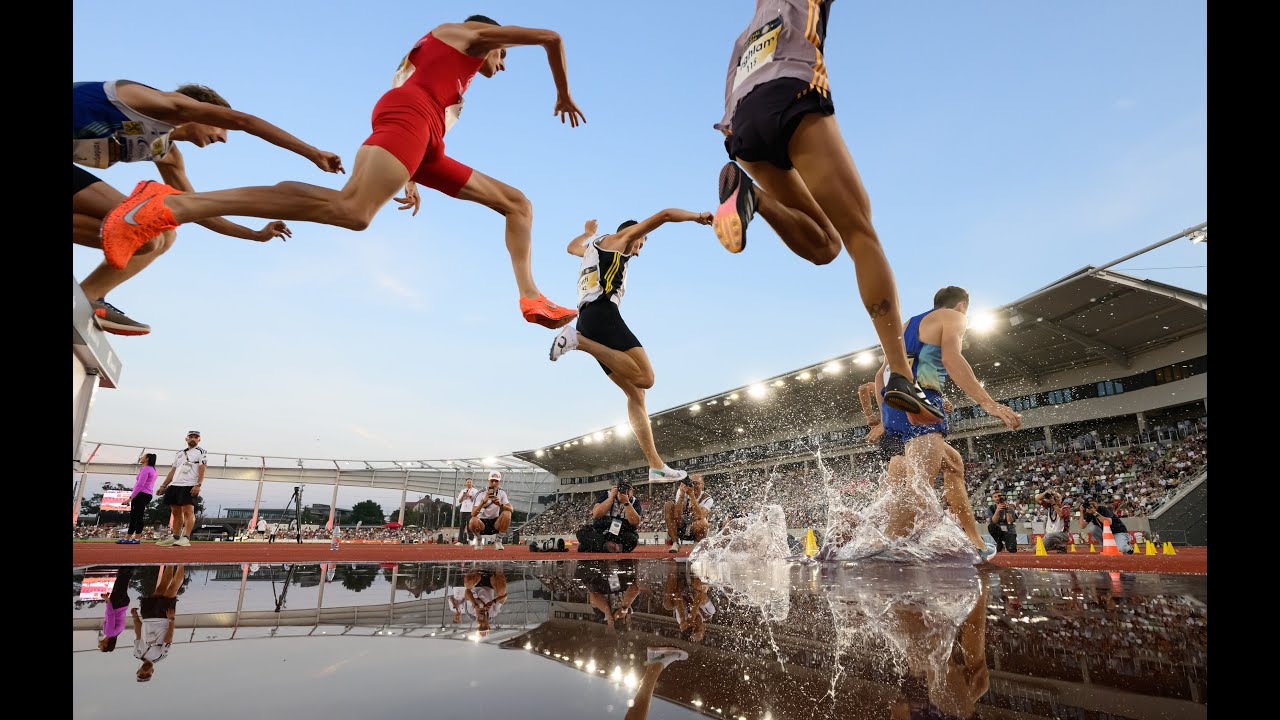 Livestream DSC-Meeting: Spitzen-Leichtathletik unter Flutlicht | SPORT IM OSTEN