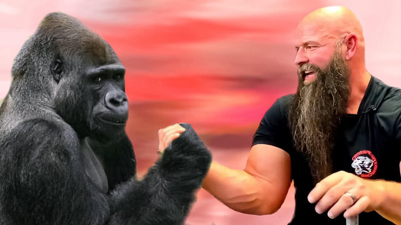 10 Strongest Animals for Their Size