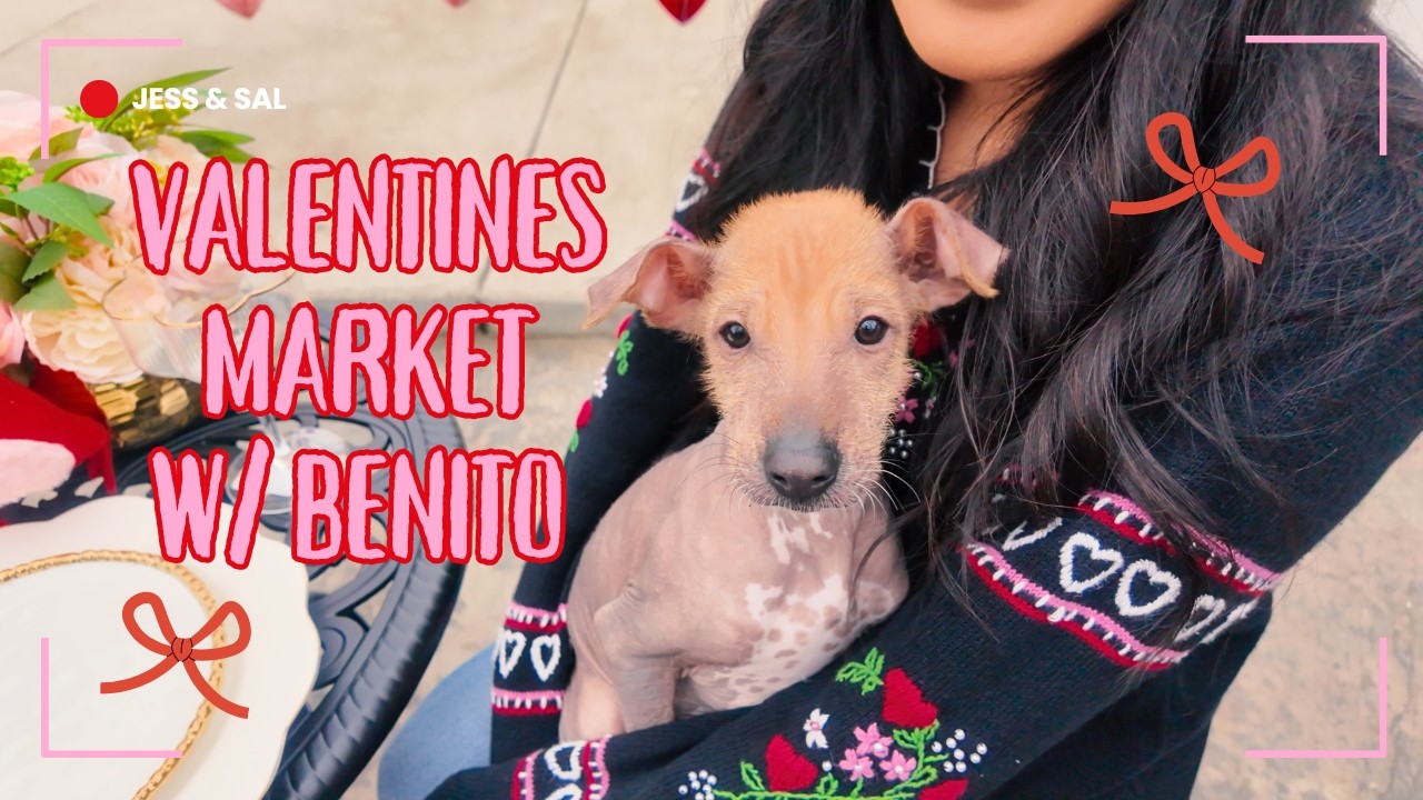 Everyone LOVED Benito at The Valentine's Day Market!
