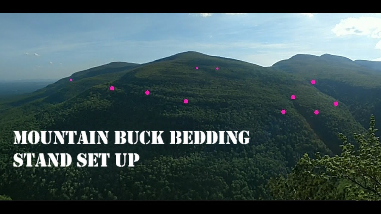 Mountain Buck Beds | Scouting And Stand Locations