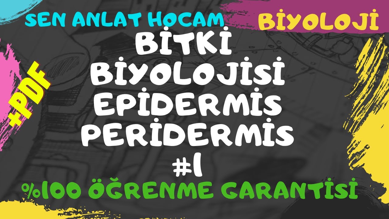 BİTKİ BİYOLOJİSİ KONU ANLATIMI 12 |  ÖRTÜ DOKU- EPİDERMİS- PERİDERMİS 1 | AYT BİYOLOJİ | ✅