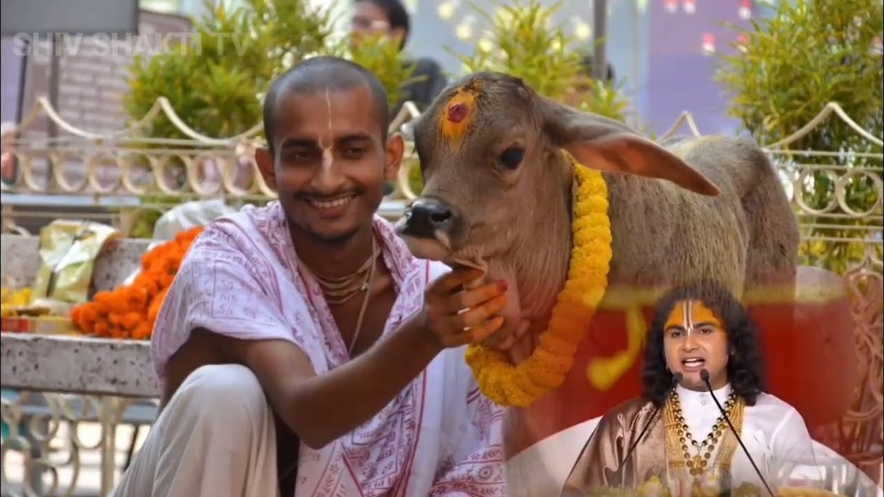 17 फरवरी सूर्य ग्रहण: गाय को चुपचाप खिला दें 2 रुपये चीज, 24 घंटे में बदलेगी किस्मत | Surya Grahan