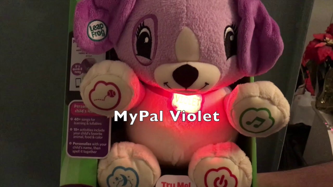 DIY Adaptive Switch and Adapted MyPal Violet