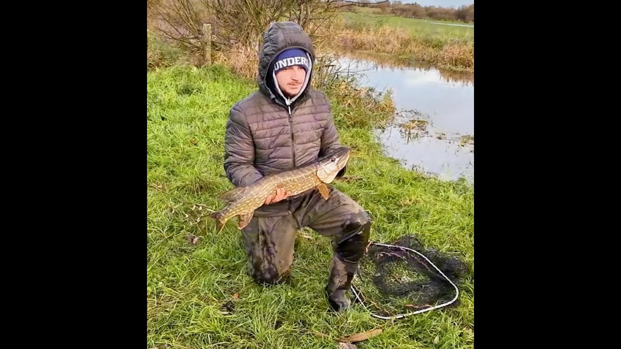 Pike Fishing Nov 25