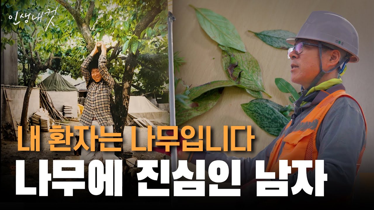 나무 관련 자격증까지 보유한 나무의사 EP.1 | 나무의사 박봉영 | 인생내컷 | 2024년 10월 27일