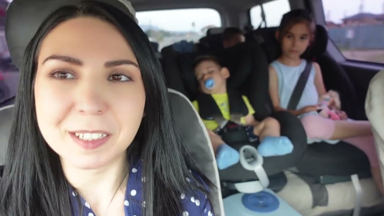 Vlog 06-07.08.2023 - Aniversare cu peripeții și neamuri din Germania