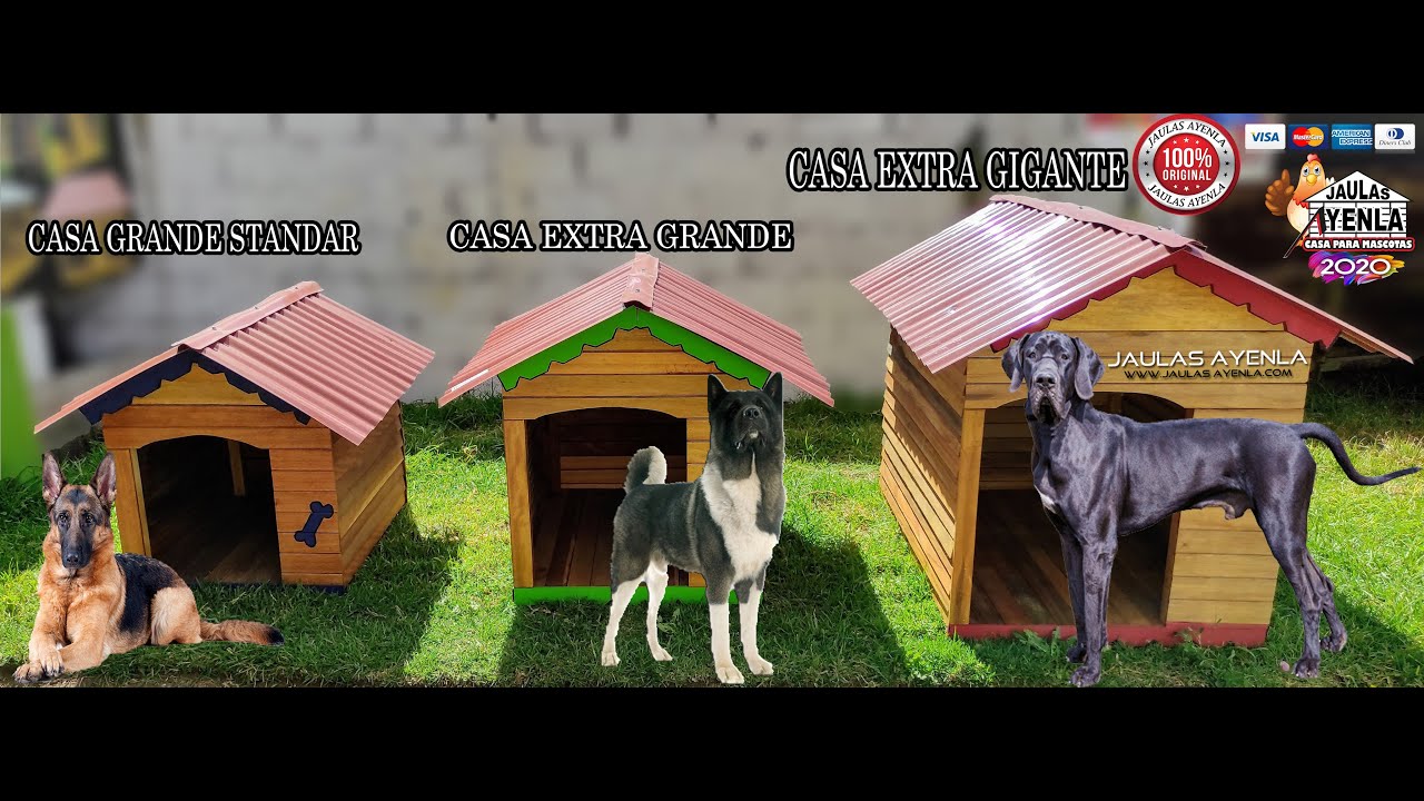 Casa de Perro? antes de Comprar debes saber Esto!!!