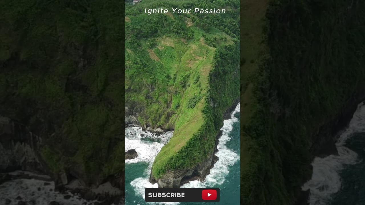 Exploring the Wilds of New Zealand: A Journey Through Unique Ecosystems and Diverse Wildlife🌱🍀🍀