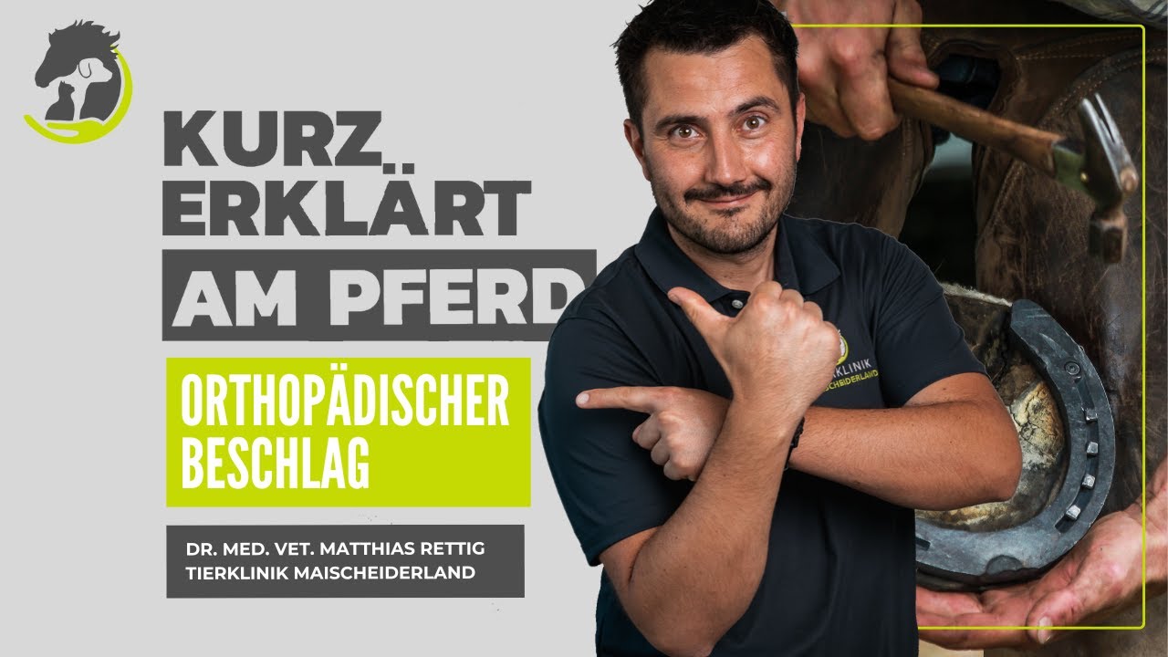 ORTHOPÄDISCHER BESCHLAG - Bei welchen Krankheitsbildern macht er Sinn? Kurz erklärt am Pferd.