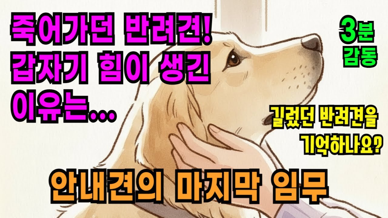 죽어가던 반려견의 마지막 임무 - 3분 감동