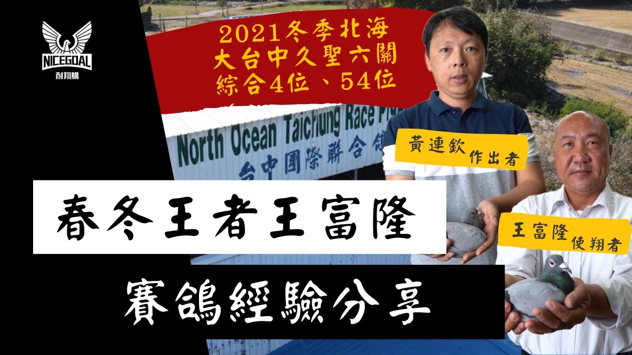 【強豪分享】2021冬季北海大台中久聖六關綜合4位、54位 ， 春冬王者 - 王富隆 - 賽鴿經驗分享 ｜耐翔購