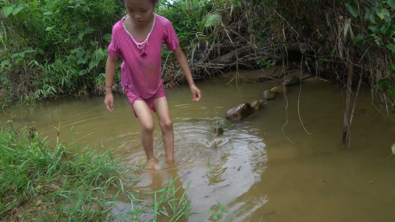 Orphan Girl Goes To The Forest Harvest Fish and Snails To Sell - Homeless Life/ Free Bushcraft