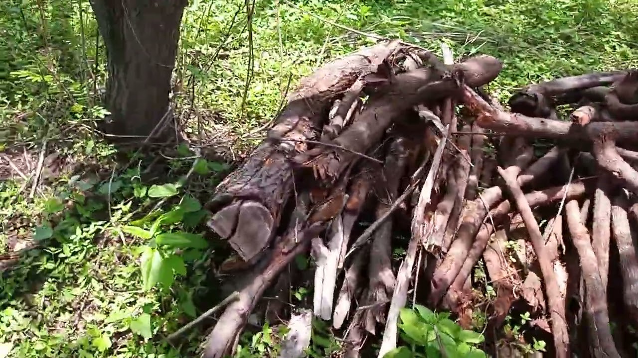 Está na natureza é tudo de bom