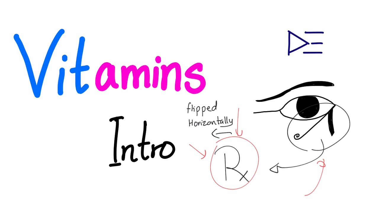 Introduction to Vitamins 👨‍🔬🌞🥬