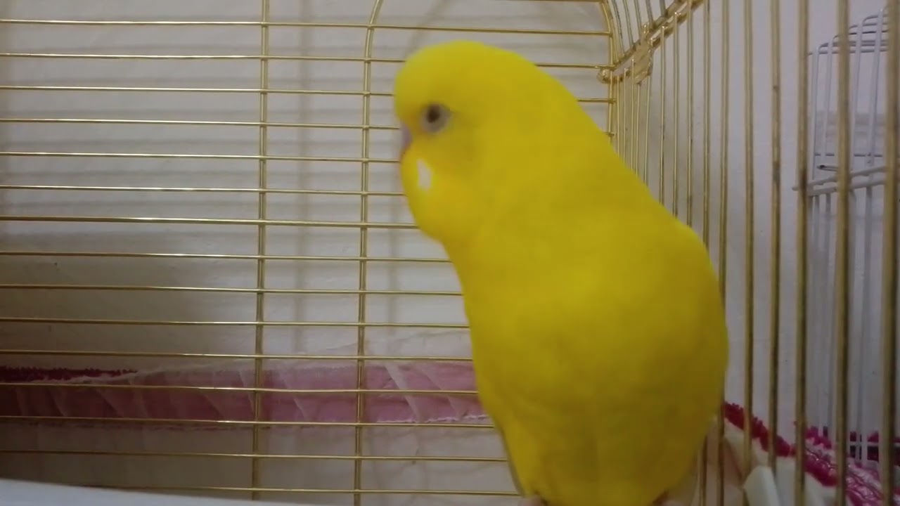 23 февраля 2026 г.