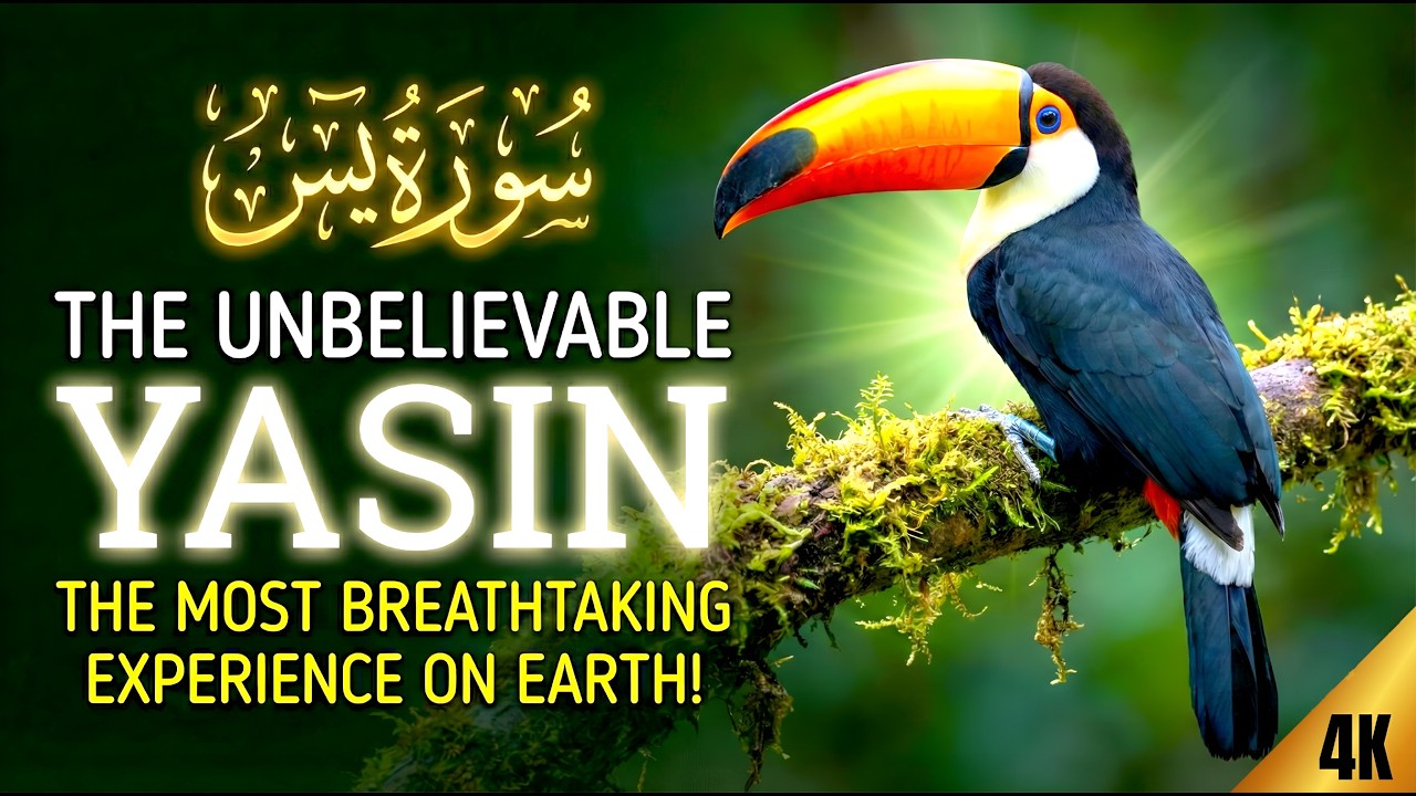 Soulful Recitation to Heal Your Heart: Surah Yasin (Very Emotional) | Zain Abu Kautsar