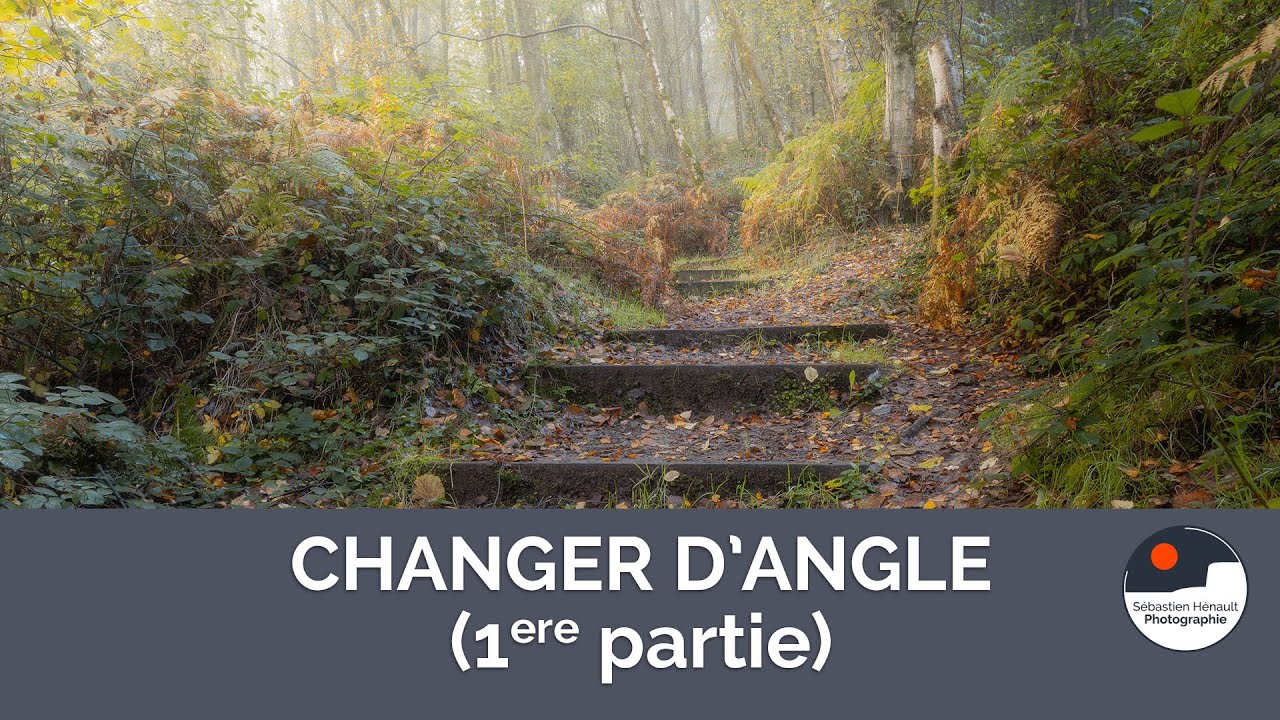 Changer d'angle de prise de vue