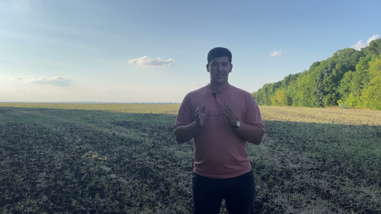 Ефективна боротьба з шкідниками ріпаку восени. Блішка, прихованохоботник, СОВКИ