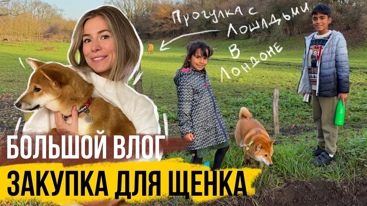 БОЛЬШОЙ ВЛОГ: ВСЕ ДЛЯ ЩЕНКА и НАШИ БУДНИ В АНГЛИИ 