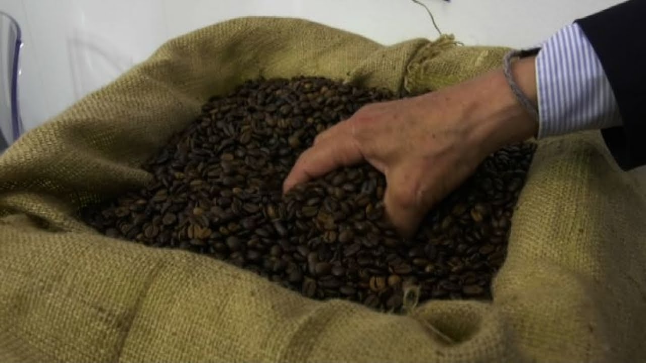 PuroSole: con gli eliostati tostatura del caff&egrave; &egrave; biosostenibile