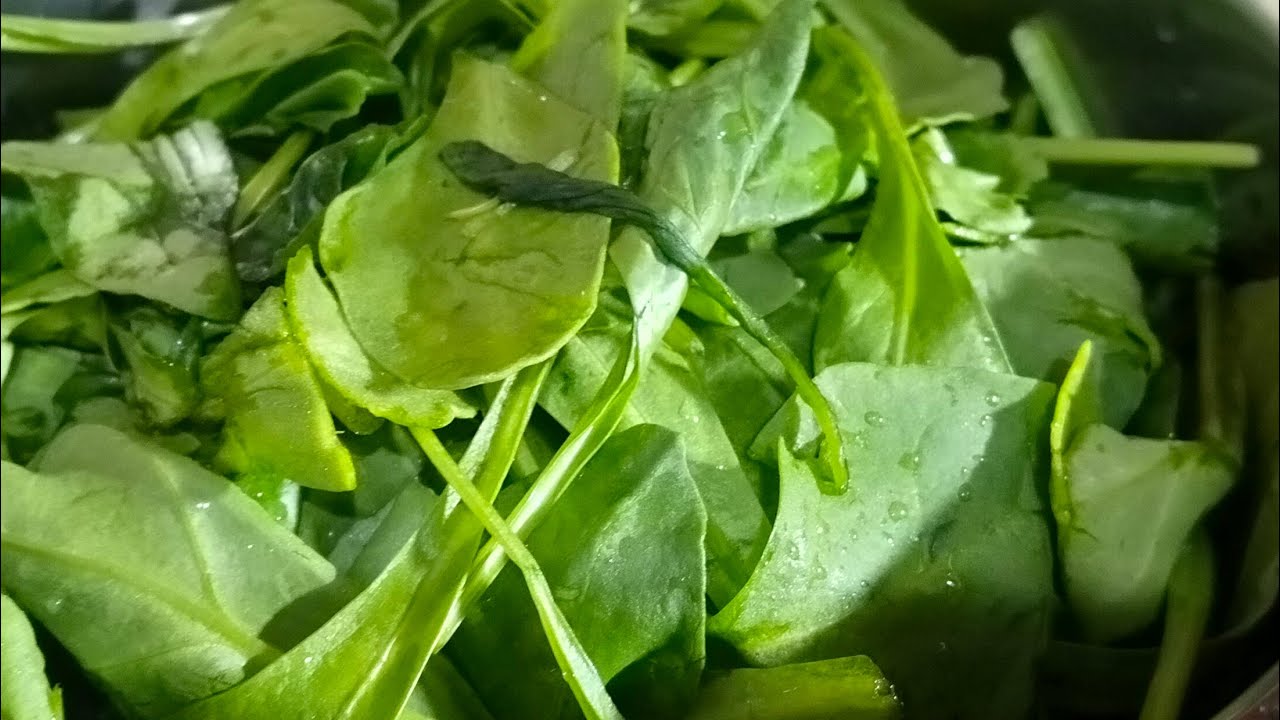 Khana Expert Palak Paneer ki sabji#food#recipe#cooking