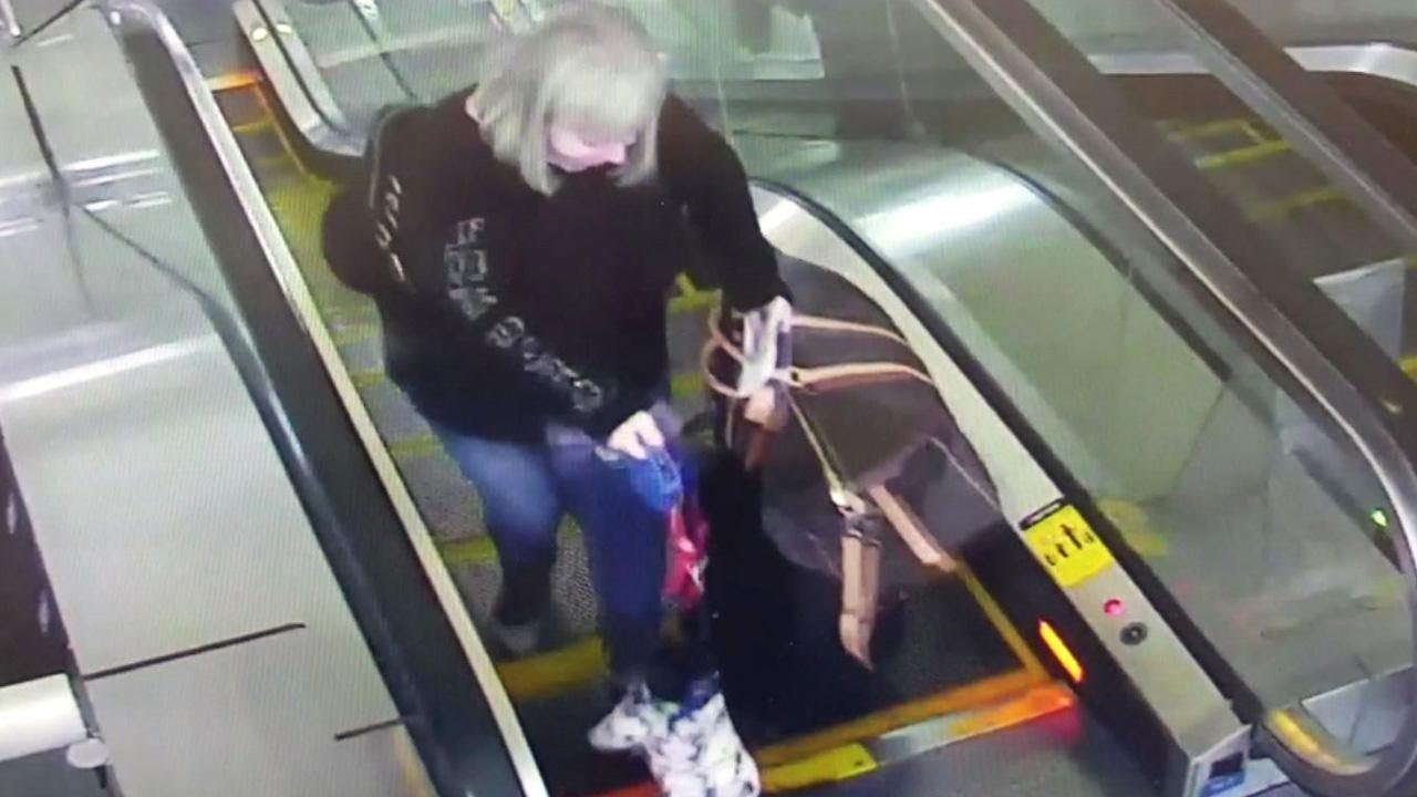 Dog Owner Panics After Pup’s Paw Gets Caught in Escalator