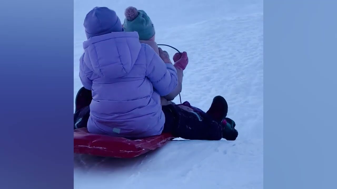 arctic life | wintertime vol 3
