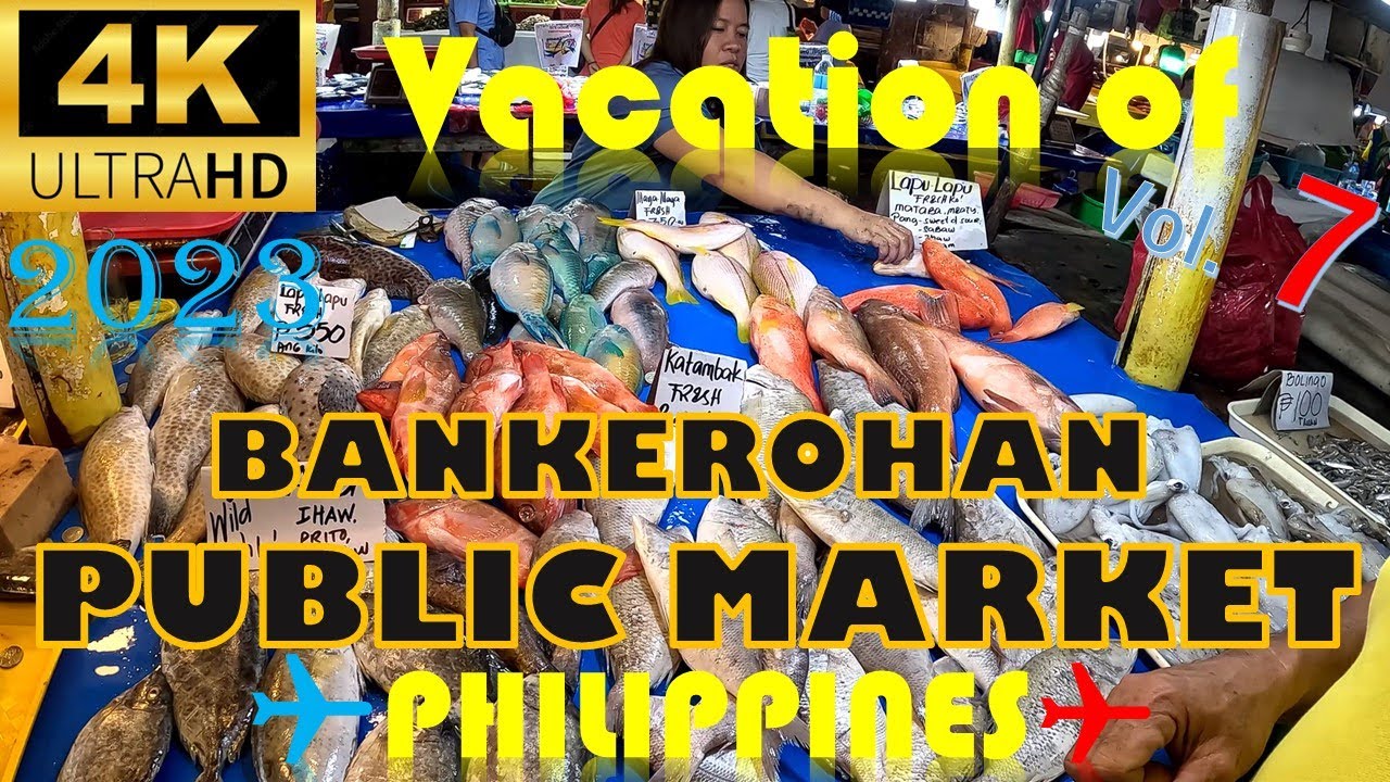 【4K】【フィリピン】Vacation of Philippines 2023 vol.7  BANKEROHAN PUBLIC MARKET of Davao city 【ダバオ】ミンダナオ島