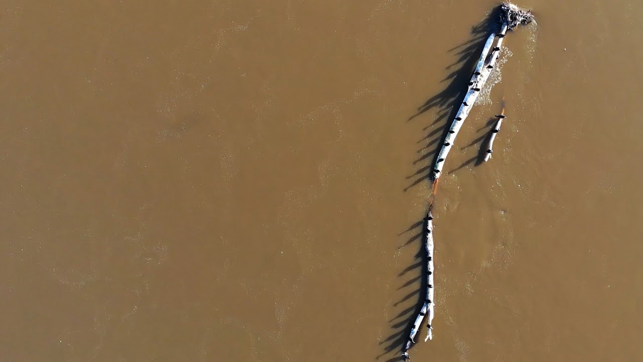 Pierwszy street fishing 2020 | Wracamy do gry | Ryba się chlapie