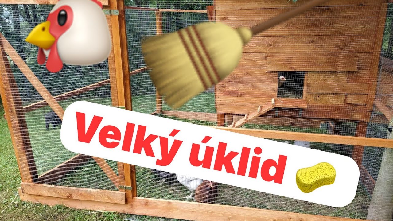 Velký úklid kurníku 🐔🧹🧽💦#kurnik#slepice#chicken #animals#farma#farm#coutryside