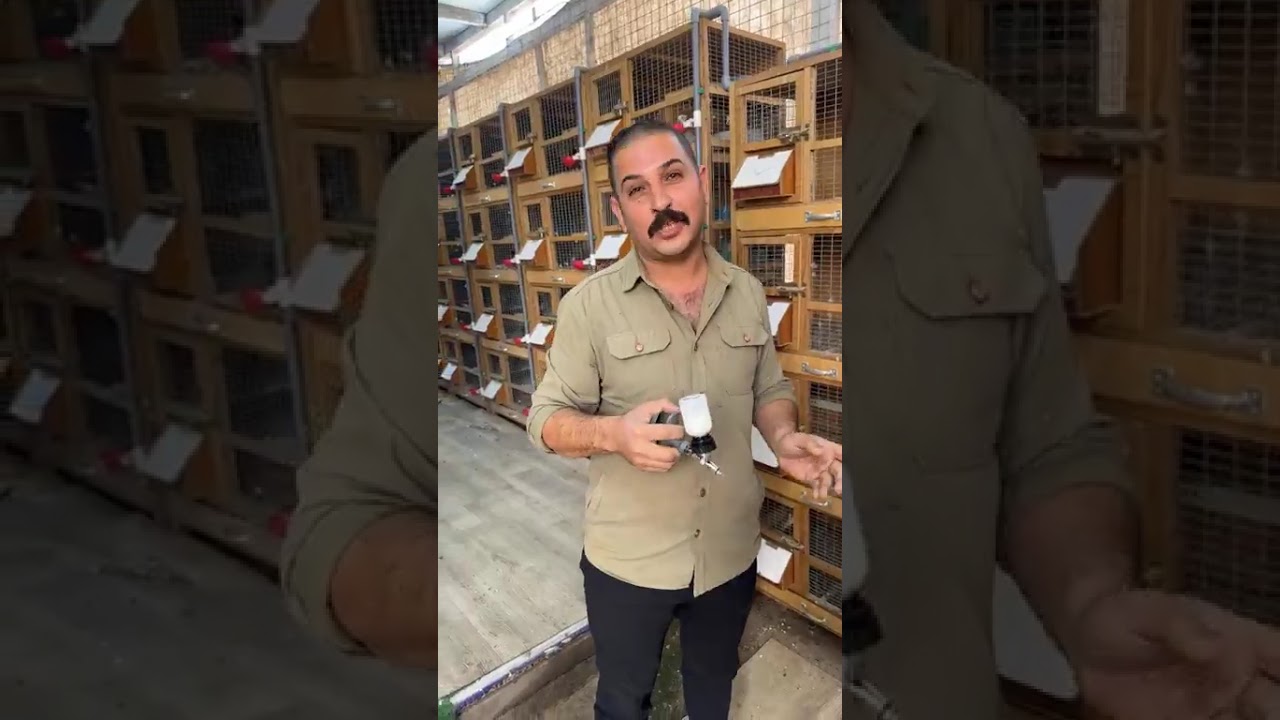 تلقيح طيور الكابتن علي الربيعي ومعلومات مهمه حول التلقيح 