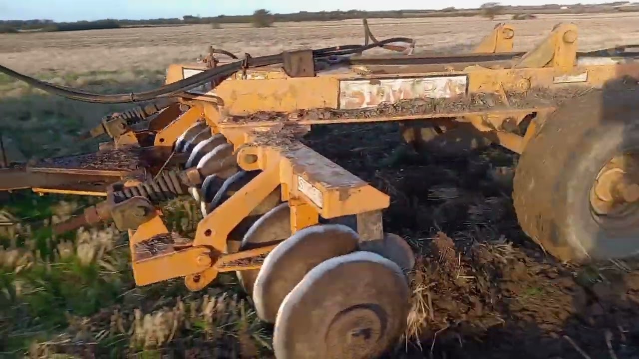 Case 1594 and Simba disc