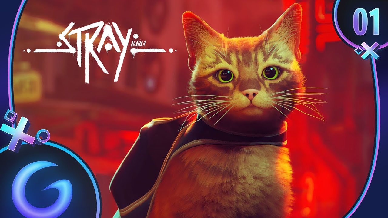 STRAY FR #1